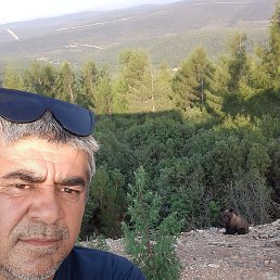 �����, ������, 49 ���