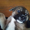 ���� ������, ��������, 66 ��� - ��������� 2 ������� 2022