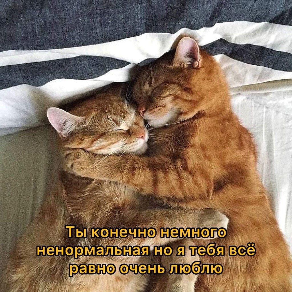    - 26  2023  17:38