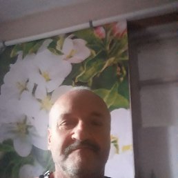 , 51 , 