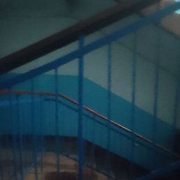 �������, �������������, 40 ���