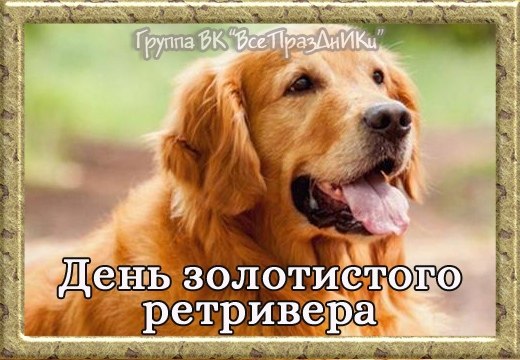   ,    . - 2  2023  21:21 - 4
