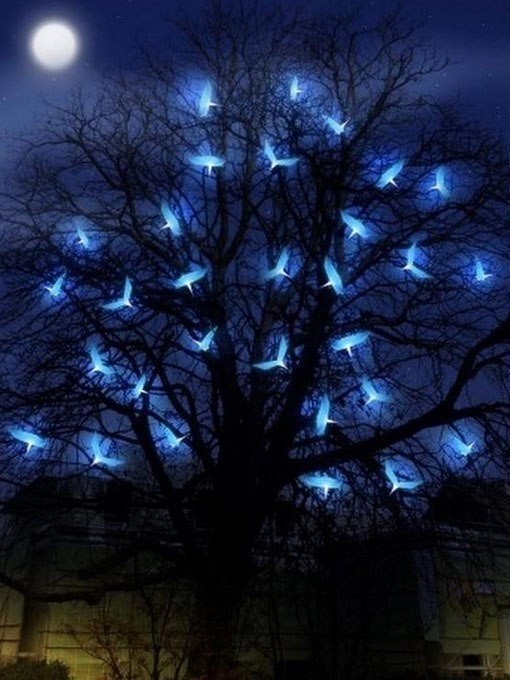 � ����� ���� �� ����� ��� ���� �������� ������, - ������� ���� ������, - � � �������� ���� ������ ... - 3