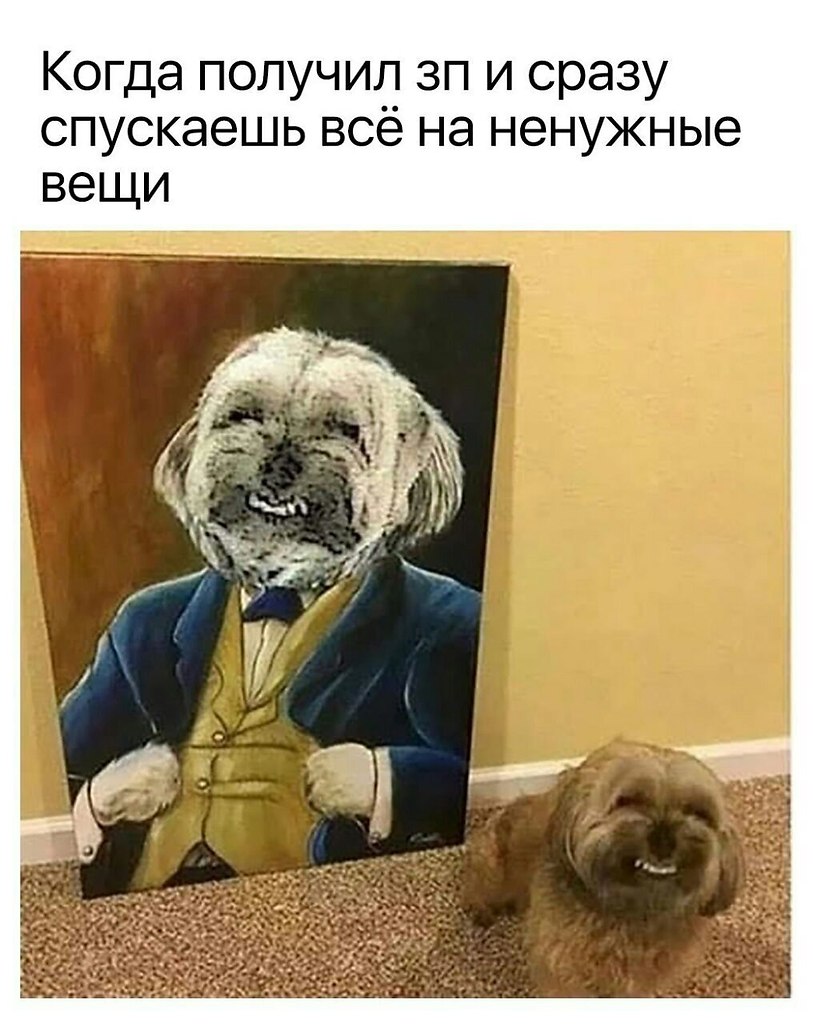    - 5  2022  06:37