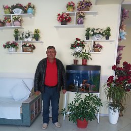 ������, �������, 55 ���