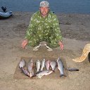 ���� ����, �������-����������, 61 ��� - ��������� 19 ��� 2022