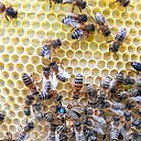 ���� �������, ��������� - ��������� 14 ������� 2022 � ������ ������ ��������