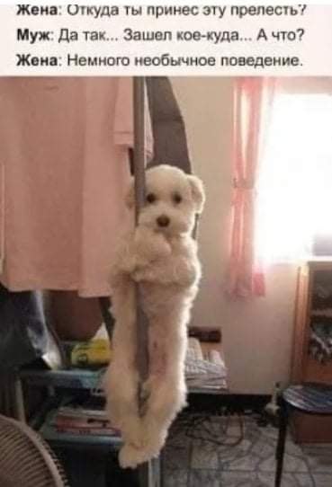 :)