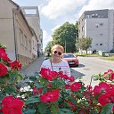 Slin �� ������� ���� ����������