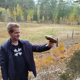 ���� ���������, ������ ��������, 46 ��� - ��������� 8 ������ 2023