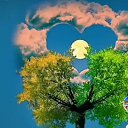 ���� �������, ����, 71 ��� - ��������� 15 ������ 2023