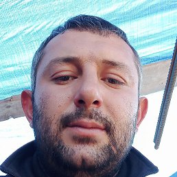 Shalva, �������, 36 ���