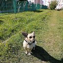 ���� ������, �����, 54 ���� - ��������� 25 ������� 2022 � ������ �������