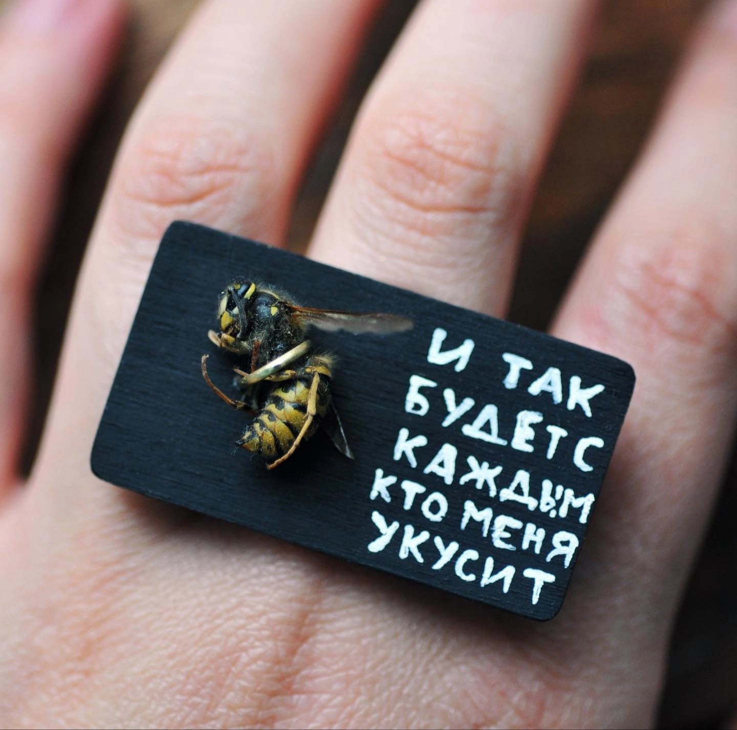 Makcu - 15  2022  15:44