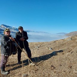 �����, ������, 59 ���