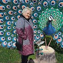 ���� ������, ���������, 50 ��� - ��������� 22 �������� 2022