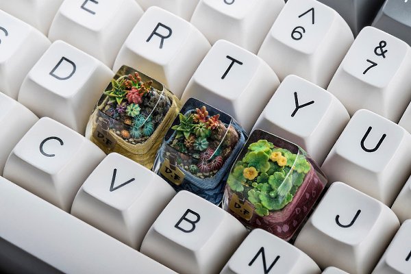 Кейкапы Terrarium с садовыми ланшафтами внутри.Компания Dwarf Factory разработала шесть вариантов ... - 6