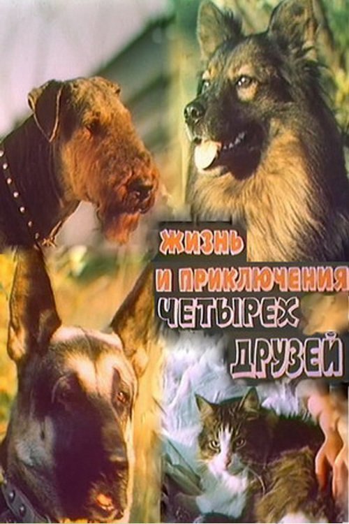 26 февраля 1982 года - состоялась премьера телевизионного художественного фильма «Жизнь и ...