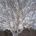 ���� �������, �������, 62 ���� - ��������� 6 ������� 2022 � ������ ���� ����������