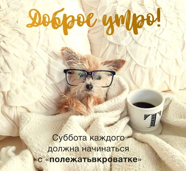   - 18  2022  10:55