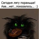 ���� ����, �����������, 41 ��� - ��������� 5 ����� 2022 � ������ ������ ��������