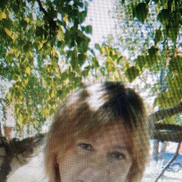 ���� �����, �������, 64 ���� - ��������� 29 ������ 2023