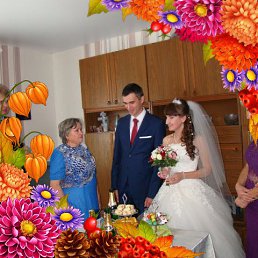 ���� ������, �����������, 87 ��� - ��������� 15 ������ 2022