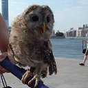 ������� �� ������� ������ ��������