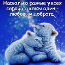 ���� ������, �����������, 57 ��� - ��������� 6 ������� 2022 � ������ ������ ��������