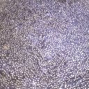 ���� ������, ���������, 61 ��� - ��������� 30 ������� 2022 � ������ ���� ����������