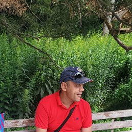 ���� �����, �����������, 51 ��� - ��������� 15 �������� 2022