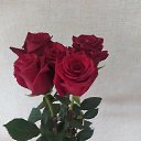 ���� ����, ��������, 36 ��� - ��������� 27 ������ 2023