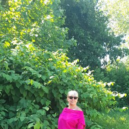 ���� �����, ��������, 60 ��� - ��������� 9 ������� 2022