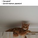 ���� Julia, �������� - ��������� 1 ������ 2023 � ������ ���� ����������