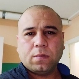 ��������, �����������, 37 ���