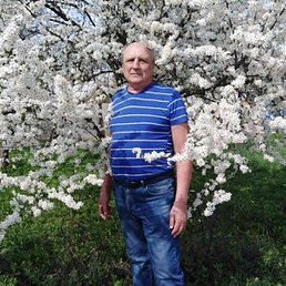 ��������, ����������, 73 ����