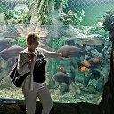 ���� ����, ������, 49 ��� - ��������� 15 ����� 2022 � ������ ���� ����������