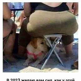 ����, �������������