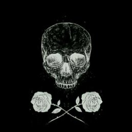 ����, ������-��-����, 25 ���