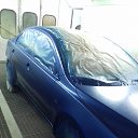 ���� ������, ����, 43 ���� - ��������� 13 ������ 2023 � ������ ���� ����������