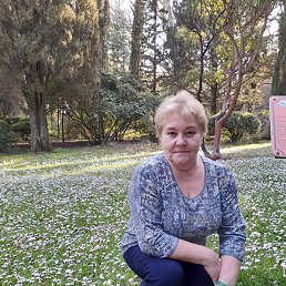 ���� ����, ���������, 73 ���� - ��������� 27 ������ 2022