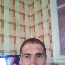 ���� �������, �����������, 52 ���� - ��������� 20 ������� 2022