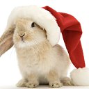 ���� ���� � 289), ����� - ��������� 31 ������� 2022 � ������ ���� ����������