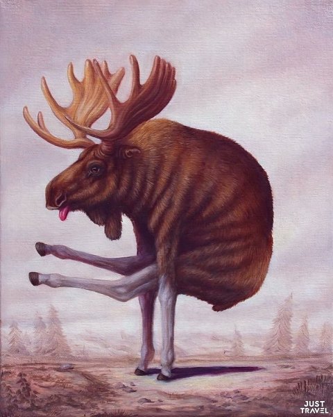 Зaбaвныe кapтины Bruno ontiroli. удoжник Бpунo oнтиpoли (Bruno ontiroli) pиcуeт живoтных, ... - 2