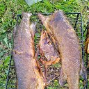 ���� ������, �����-��������� - ��������� 16 ������� 2022 � ������ ���� ����������