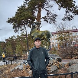 �����, ������, 48 ���