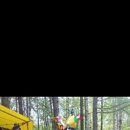 ���� �������, ������, 38 ��� - ��������� 24 ������ 2023