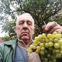 ���� �����, �����, 70 ��� - ��������� 5 ������ 2023