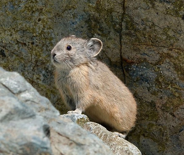 ���� ���������� ������.������ ���������� ������ �������� ������������ �������, �� � ��������� ... - 2