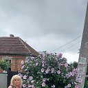 ���� ����, ���������, 61 ��� - ��������� 10 ������� 2022 � ������ ���� ����������